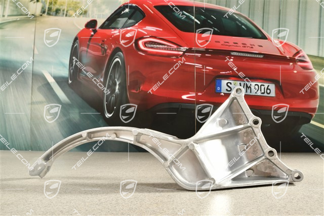 Main exhaust muffler support