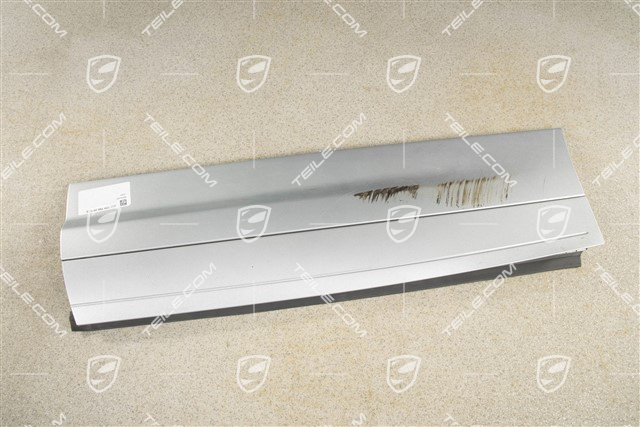 Strip, rear door, L