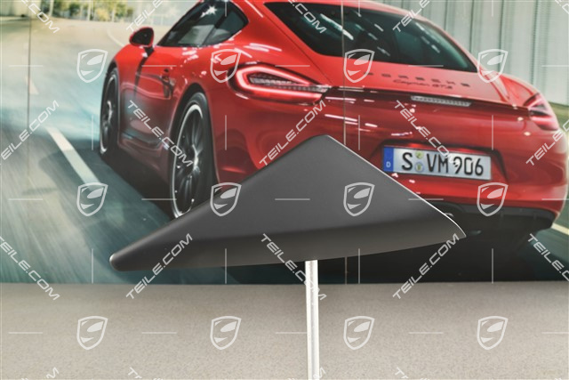 Osłona / blenda drzwi / lusterka, lusterko sterowane elektrycznie, Czarna, R