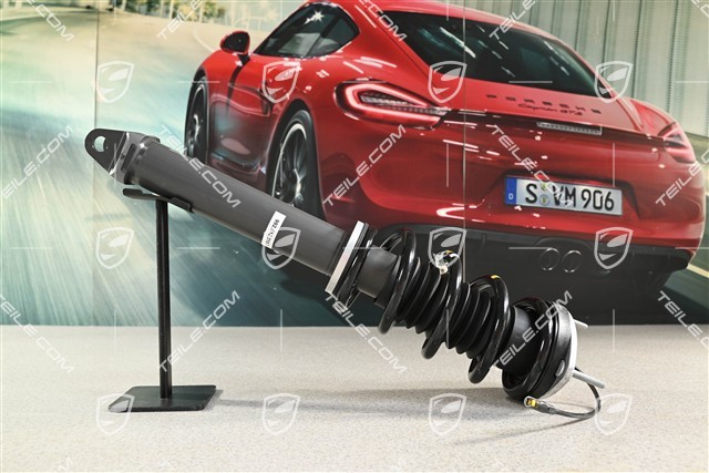 Stossdämpfer / Schwingungsdämpfer, Hinterachse, Komplett, Targa / Cabrio, L=R