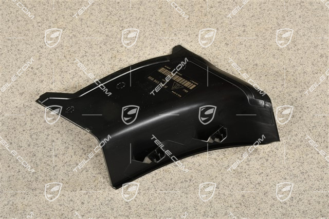 Rear light cover, outer, R