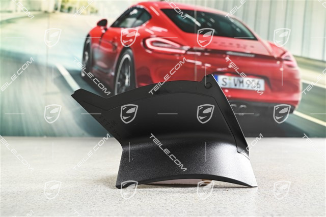 Heckleuchte Abdeckung, aussen, L