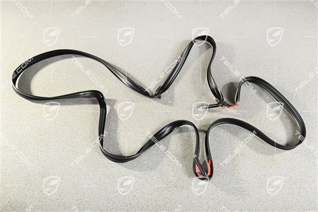 Gasket for Glass roof panel, Targa
