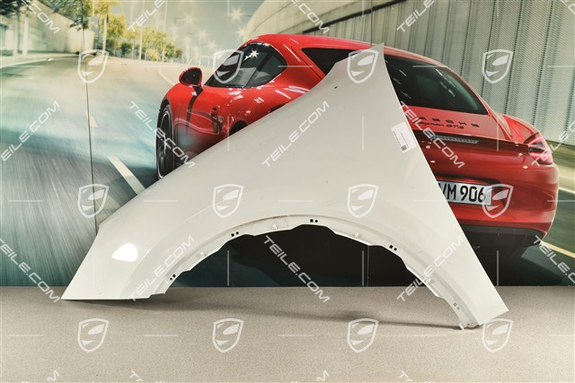 Fender / Wing, damaged, L
