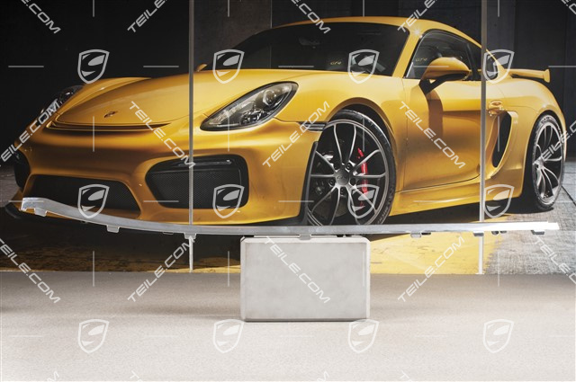 Schwellerblende Zierleiste, Chrom, Langer Radstand, Hinten, L