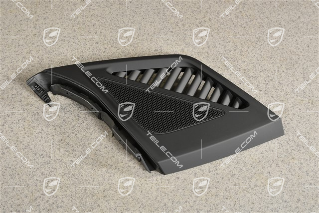 Dashboard cover trim for speaker, Black, R