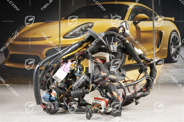 Bugraum, Kabelstrang, Xenon Licht system