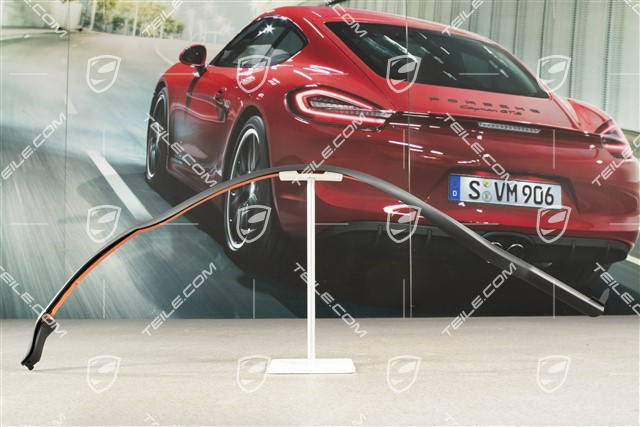 Tür Dichtung hinten, vorne, L
