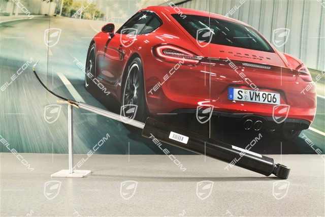 Schwingungsdämpfer, Hinten, PASM, L=R