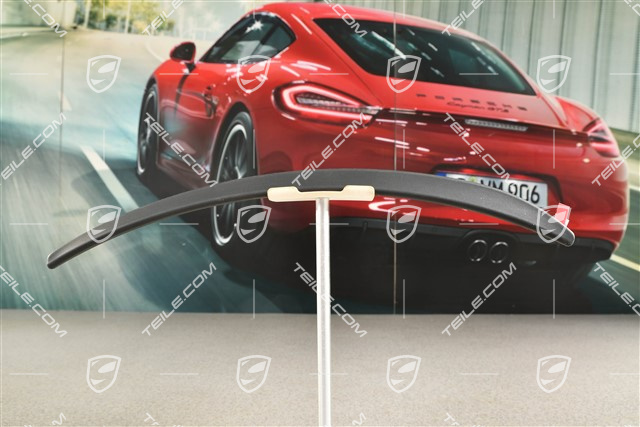 Gummilippe GT3, Vorne, L
