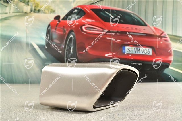 Endrohr, innen, Panamera Turbo, R