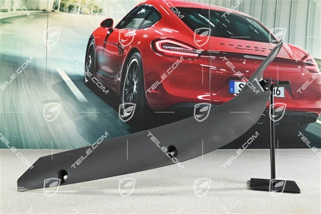 Wing / Fender Rear Cover, Black, R