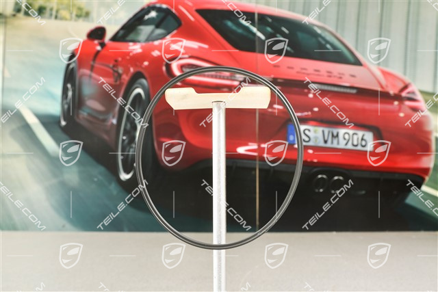 Dichtring / Carrera RS