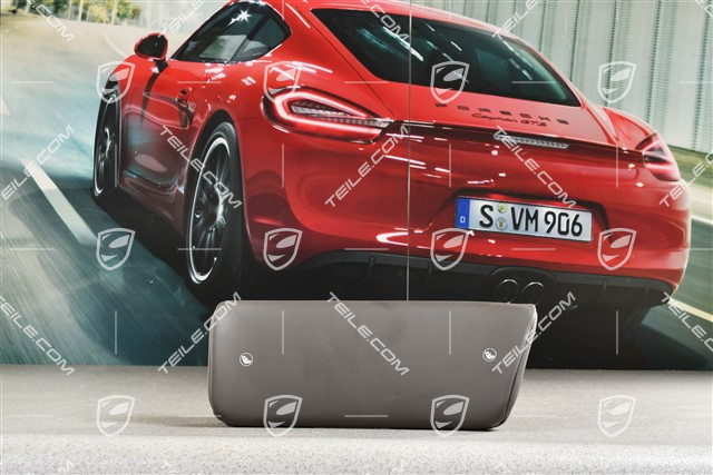 Lordosenstütze, Leder, Achatgrau, Cabrio / Coupe / Targa, R