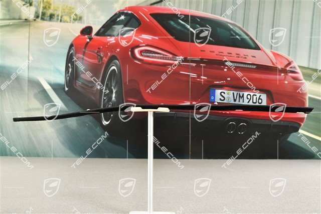 Türschachtdichtung / Abdichtleiste Aussen, Cabrio / Targa, R