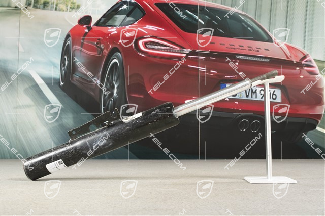 Stossdämpfer / Schwingungsdämpfer, VA, C4S Cabrio, L=R