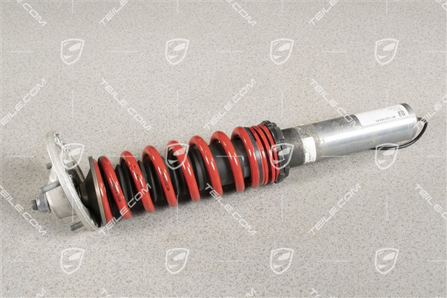 Schwingungsdämpfer, Komplett, PASM, Hinterachse, GT4, L=R