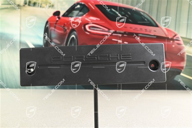 Number plate mounting