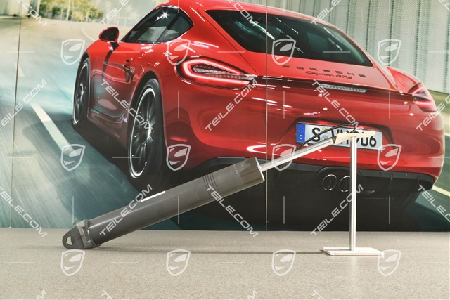 Turbo, Stossdämpfer / Schwingungsdämpfer, Hinterachse, PASM, L=R