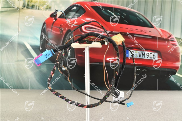 Kabelstrang Fahrerseite, L