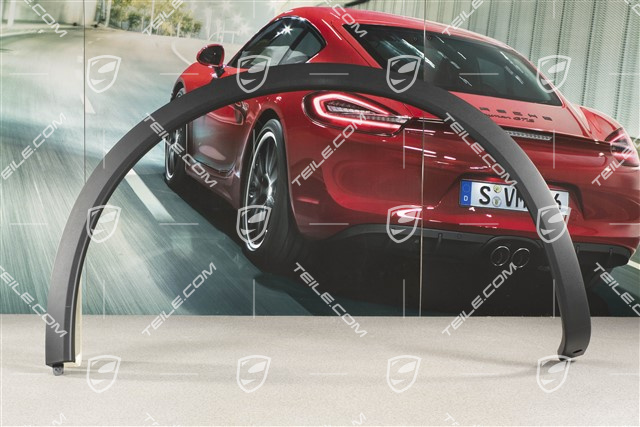 Wing / Rear Wheel cover / moulding, Satin black, L