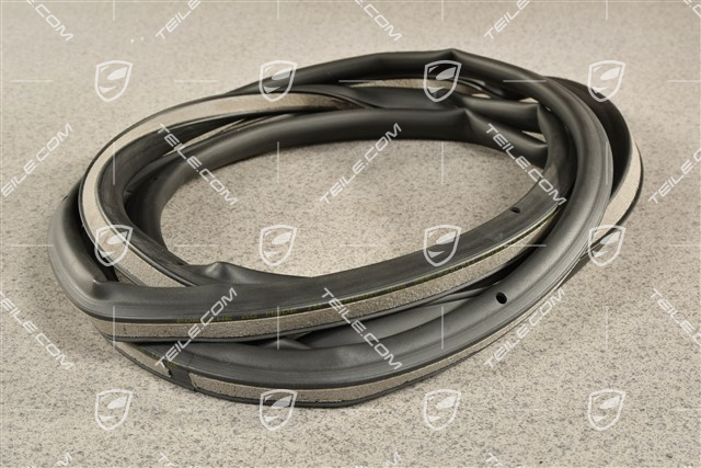 Türdichtung hinten, Aussen, L=R