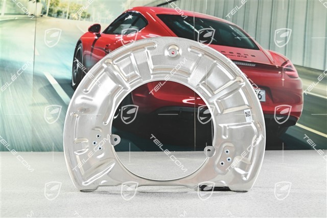 Front axle disc brake protective plate, PCCB, L