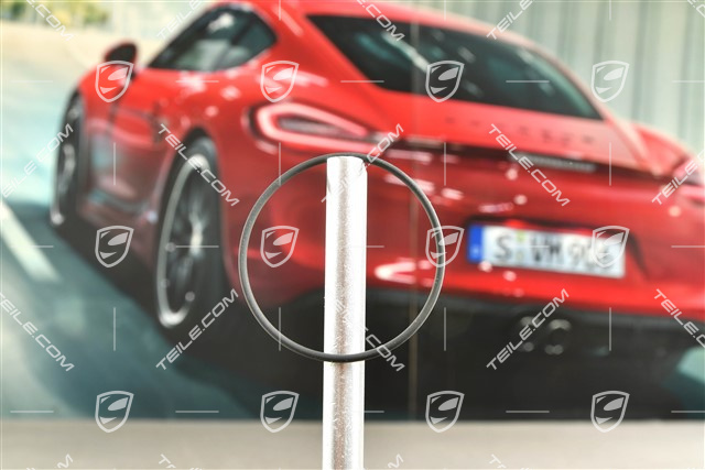 Runddichtring, Ölpumpe