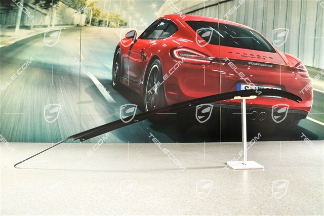 Zierleiste für Seitenteil, Schwarz, Targa, R