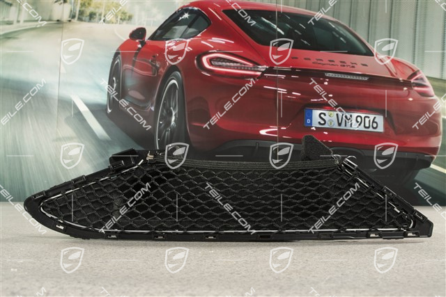 Türverkleidung Deckel, Schwarz, L