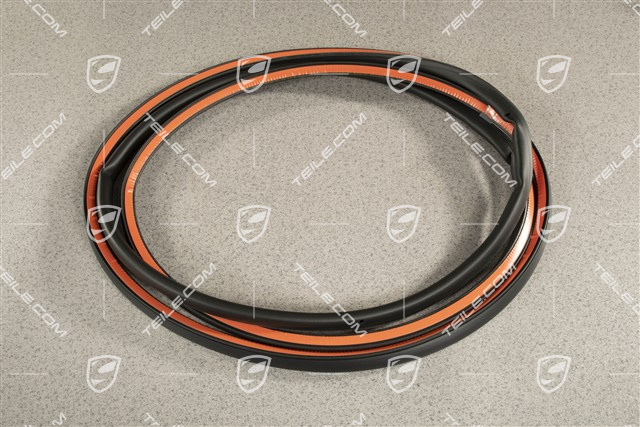 Türdichtung, aussen, hinten, L=R