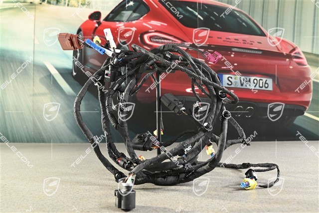 Kabelstrang Stoßstange vorne, Fußgängerschutzmaßnahmen erweiter und crashaktiv, RHD