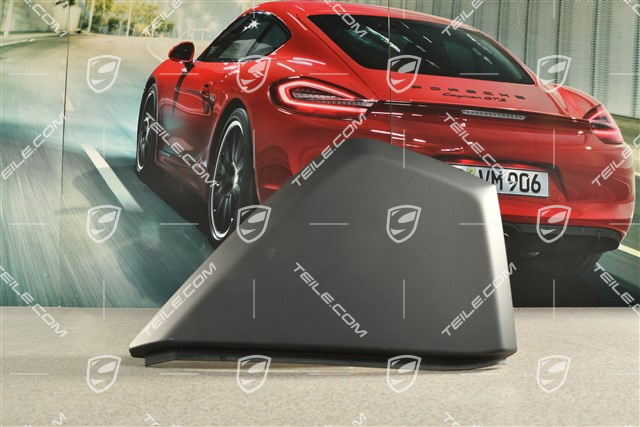 Dashboard trim lateral, Black, R