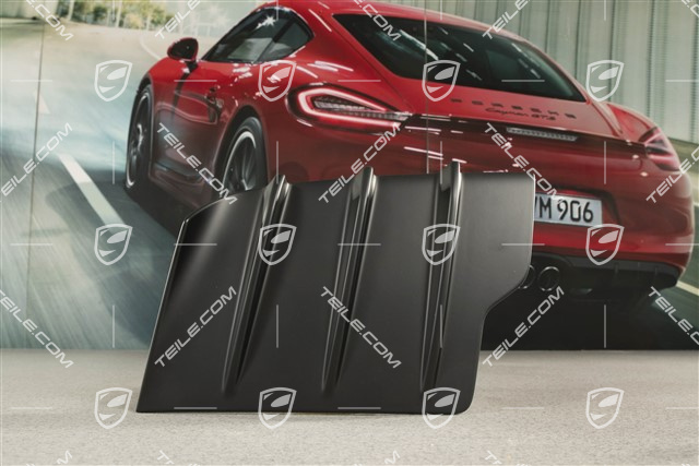 GT3, Osłona ozdobna komory silnika, R