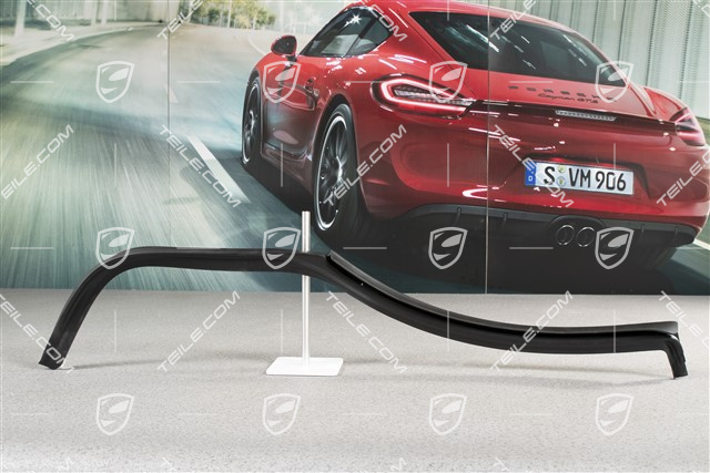 Türdichtung / C-Säule dichtung, R