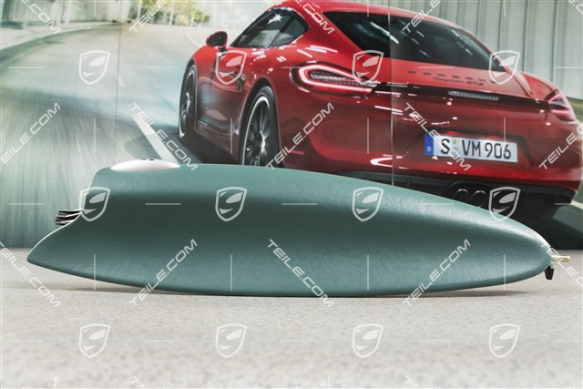 Deckel, Ablagefach, Leder, Nephritegrün, L