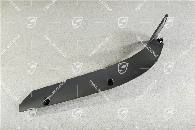 Wing / Fender Rear Cover, Black, R