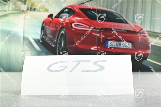 Logo / Sticker "GTS"