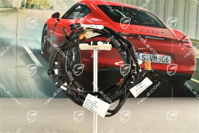 Wiązka instalacji elektrycznej / Nagłośnienie Bose