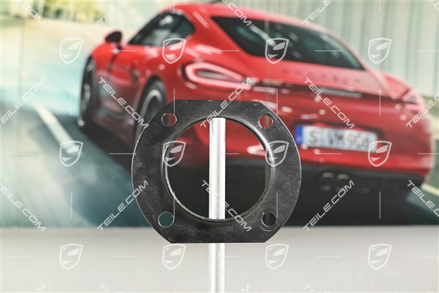 Rear hub bearing protection plate, L=R