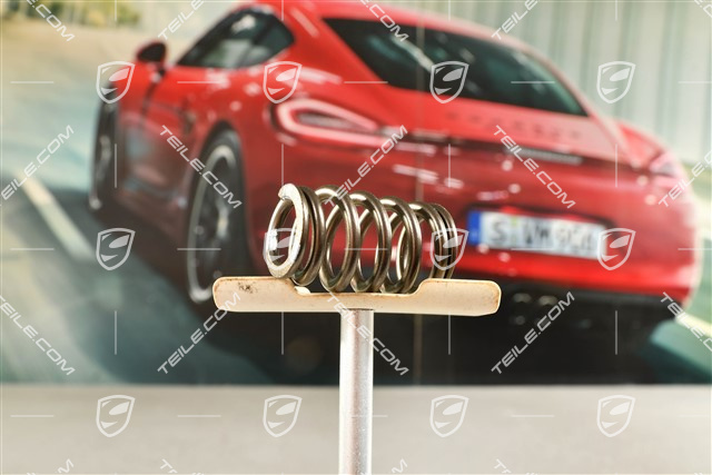 Valve spring, Exhaust