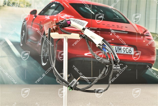 Wiring harness, Daytime driving light, L