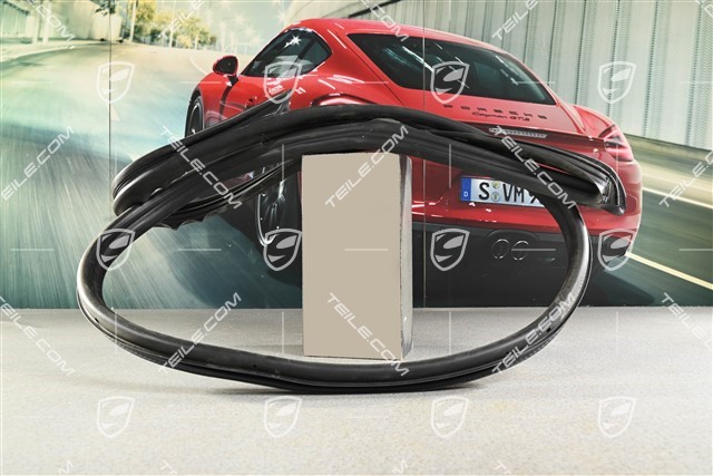 Uszczelka karoseryjna drzwi, Coupe, R