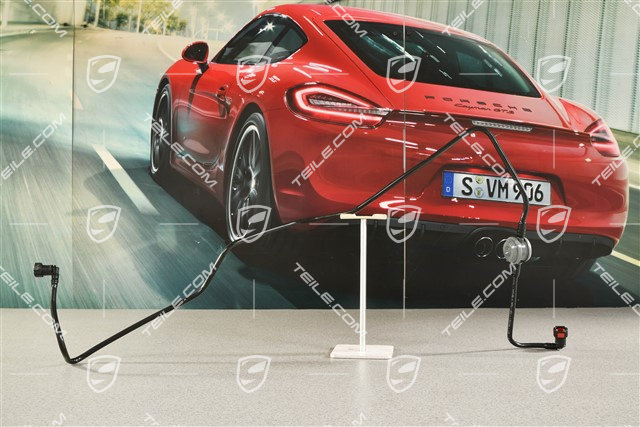 C2, Entlueftungsleitung zum Aktivkohlebehälter