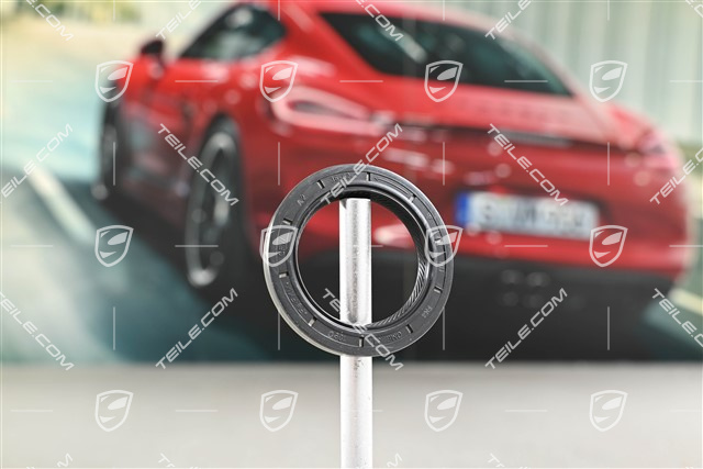 Sealing ring / Oil seal