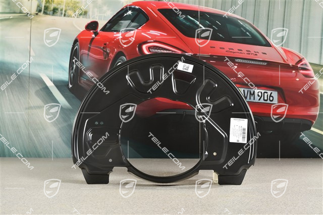 Tarcza kotwiczna / osłona tarczy hamulcowej przedniej, PCCB, R