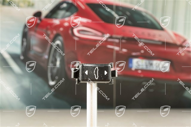 Targa, Schalter / Tastschalter für Schiebedach