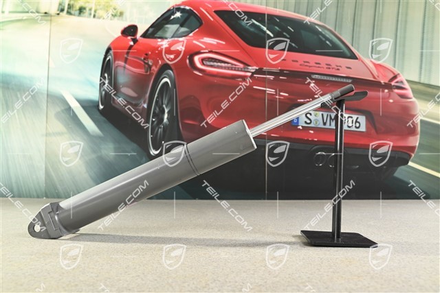 Stoßdämpfer, C2/C4, Serienfahrwerk, L=R