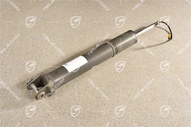 Stossdämpfer / Schwingungsdämpfer, HA, L=R