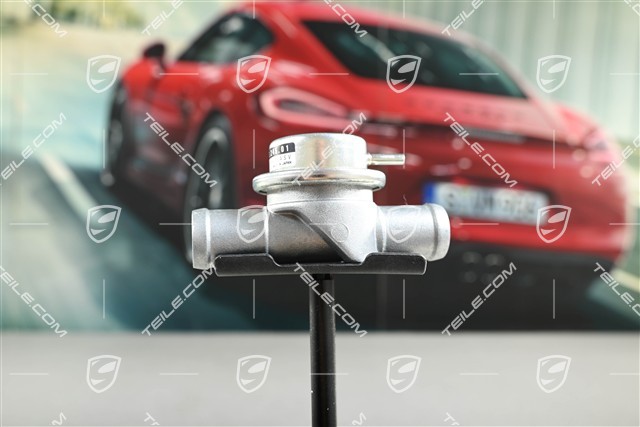 SHUT-OFF VALVE, secondary air pump